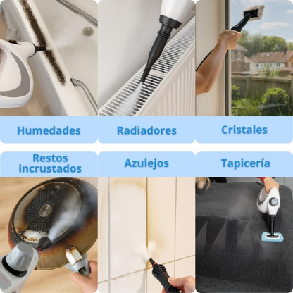 Limpiadora Profesional