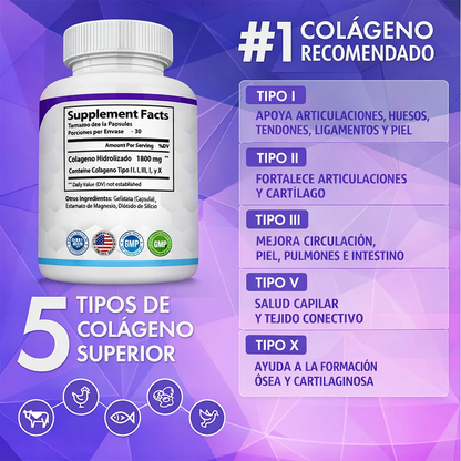 COLLAGEN PEPTIDES