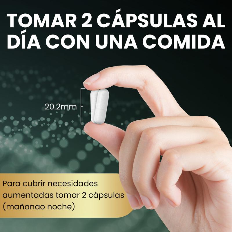 Megneta NAD+ Energía y Envejecimiento Saludable